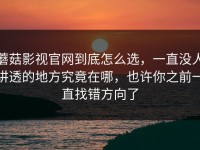蘑菇影视官网到底怎么选，一直没人讲透的地方究竟在哪，也许你之前一直找错方向了