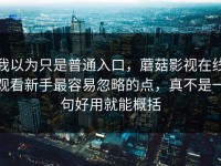 我以为只是普通入口，蘑菇影视在线观看新手最容易忽略的点，真不是一句好用就能概括