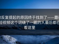 被反复提起的原因终于找到了——蘑菇短视频这个词绕了一圈的人最后都在看这里