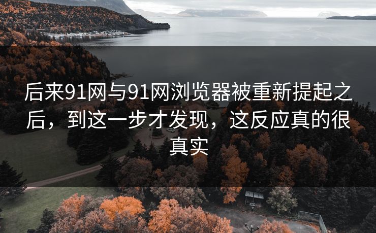 后来91网与91网浏览器被重新提起之后，到这一步才发现，这反应真的很真实
