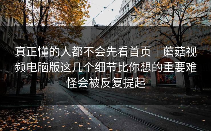 真正懂的人都不会先看首页｜蘑菇视频电脑版这几个细节比你想的重要难怪会被反复提起