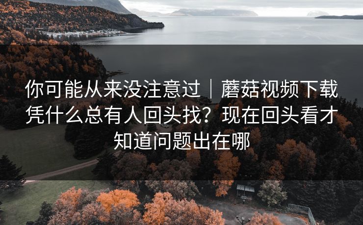 你可能从来没注意过｜蘑菇视频下载凭什么总有人回头找？现在回头看才知道问题出在哪