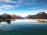 昨晚翻到每日大赛ai突然冒出的消息把评论区点燃了