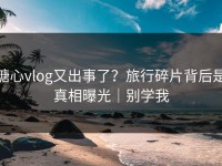 糖心vlog又出事了？旅行碎片背后是真相曝光｜别学我
