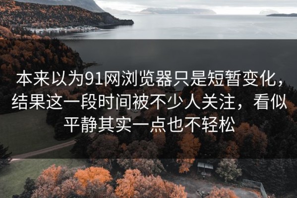 本来以为91网浏览器只是短暂变化，结果这一段时间被不少人关注，看似平静其实一点也不轻松