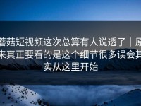 蘑菇短视频这次总算有人说透了｜原来真正要看的是这个细节很多误会其实从这里开始