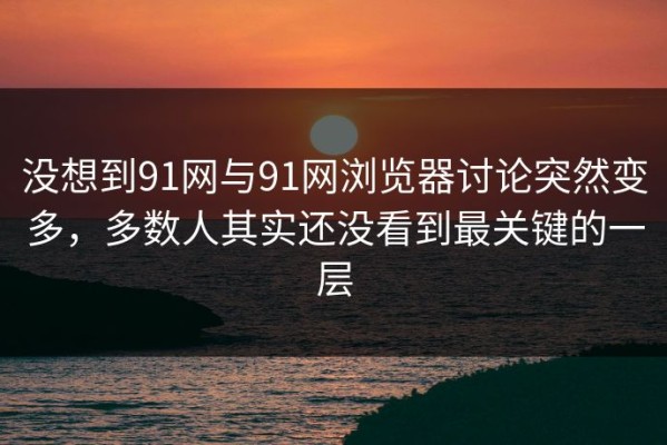 没想到91网与91网浏览器讨论突然变多，多数人其实还没看到最关键的一层