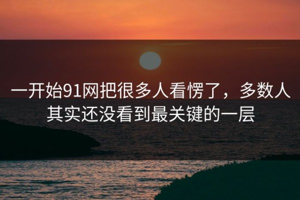 一开始91网把很多人看愣了，多数人其实还没看到最关键的一层
