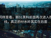 同样是看，新91黑料前面再次进入视线，真正的分水岭其实在后面