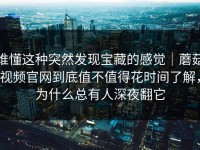 谁懂这种突然发现宝藏的感觉｜蘑菇视频官网到底值不值得花时间了解，为什么总有人深夜翻它