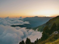 昨晚翻到每日大赛ai突然冒出的消息把评论区点燃了