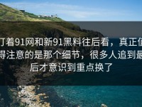 盯着91网和新91黑料往后看，真正值得注意的是那个细节，很多人追到最后才意识到重点换了