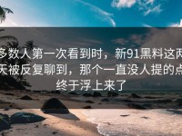 多数人第一次看到时，新91黑料这两天被反复聊到，那个一直没人提的点终于浮上来了