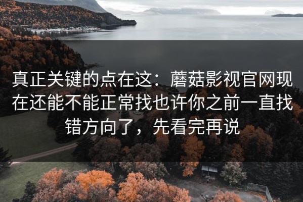 真正关键的点在这：蘑菇影视官网现在还能不能正常找也许你之前一直找错方向了，先看完再说