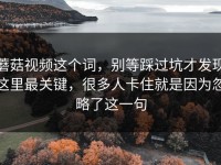 蘑菇视频这个词，别等踩过坑才发现这里最关键，很多人卡住就是因为忽略了这一句