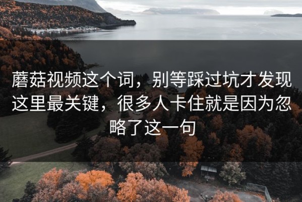 蘑菇视频这个词，别等踩过坑才发现这里最关键，很多人卡住就是因为忽略了这一句