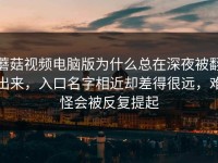 蘑菇视频电脑版为什么总在深夜被翻出来，入口名字相近却差得很远，难怪会被反复提起
