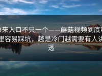原来入口不只一个——蘑菇视频到底哪里容易踩坑，越是冷门越需要有人讲透