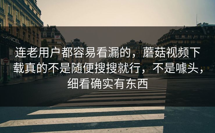 连老用户都容易看漏的，蘑菇视频下载真的不是随便搜搜就行，不是噱头，细看确实有东西