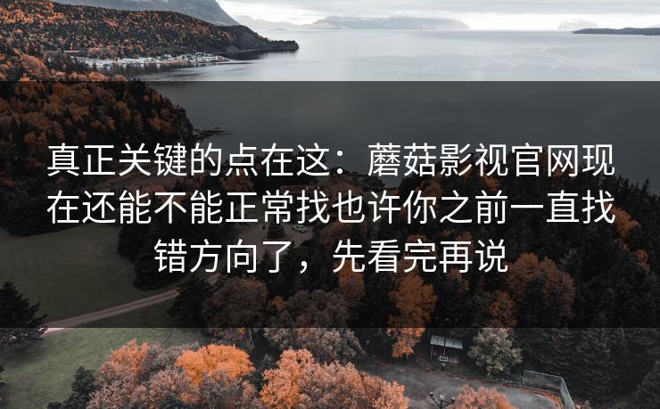 真正关键的点在这：蘑菇影视官网现在还能不能正常找也许你之前一直找错方向了，先看完再说