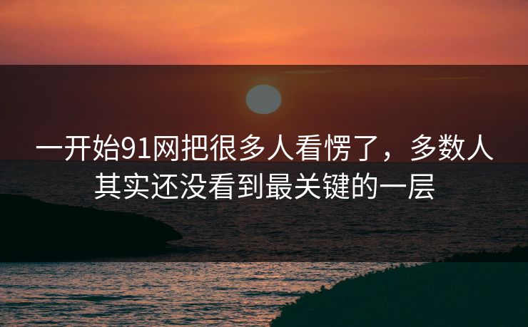 一开始91网把很多人看愣了，多数人其实还没看到最关键的一层