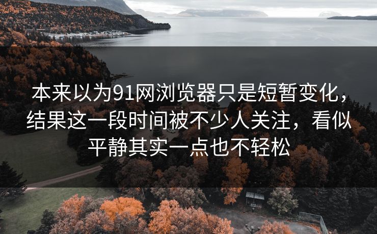 本来以为91网浏览器只是短暂变化，结果这一段时间被不少人关注，看似平静其实一点也不轻松