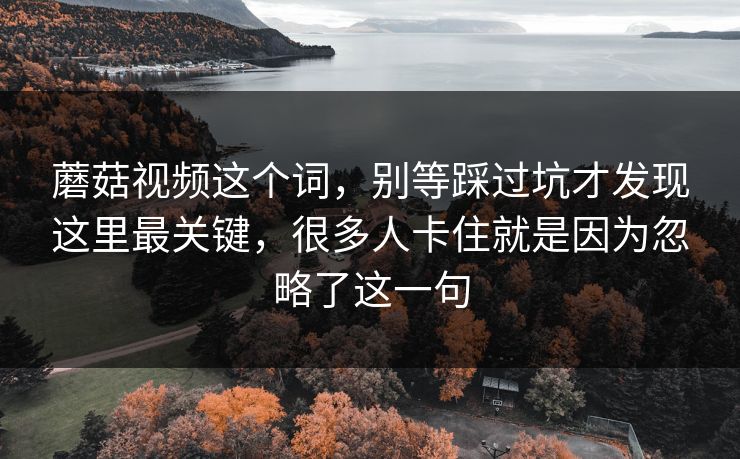 蘑菇视频这个词，别等踩过坑才发现这里最关键，很多人卡住就是因为忽略了这一句
