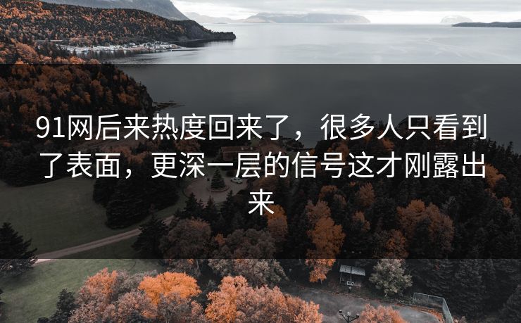91网后来热度回来了，很多人只看到了表面，更深一层的信号这才刚露出来